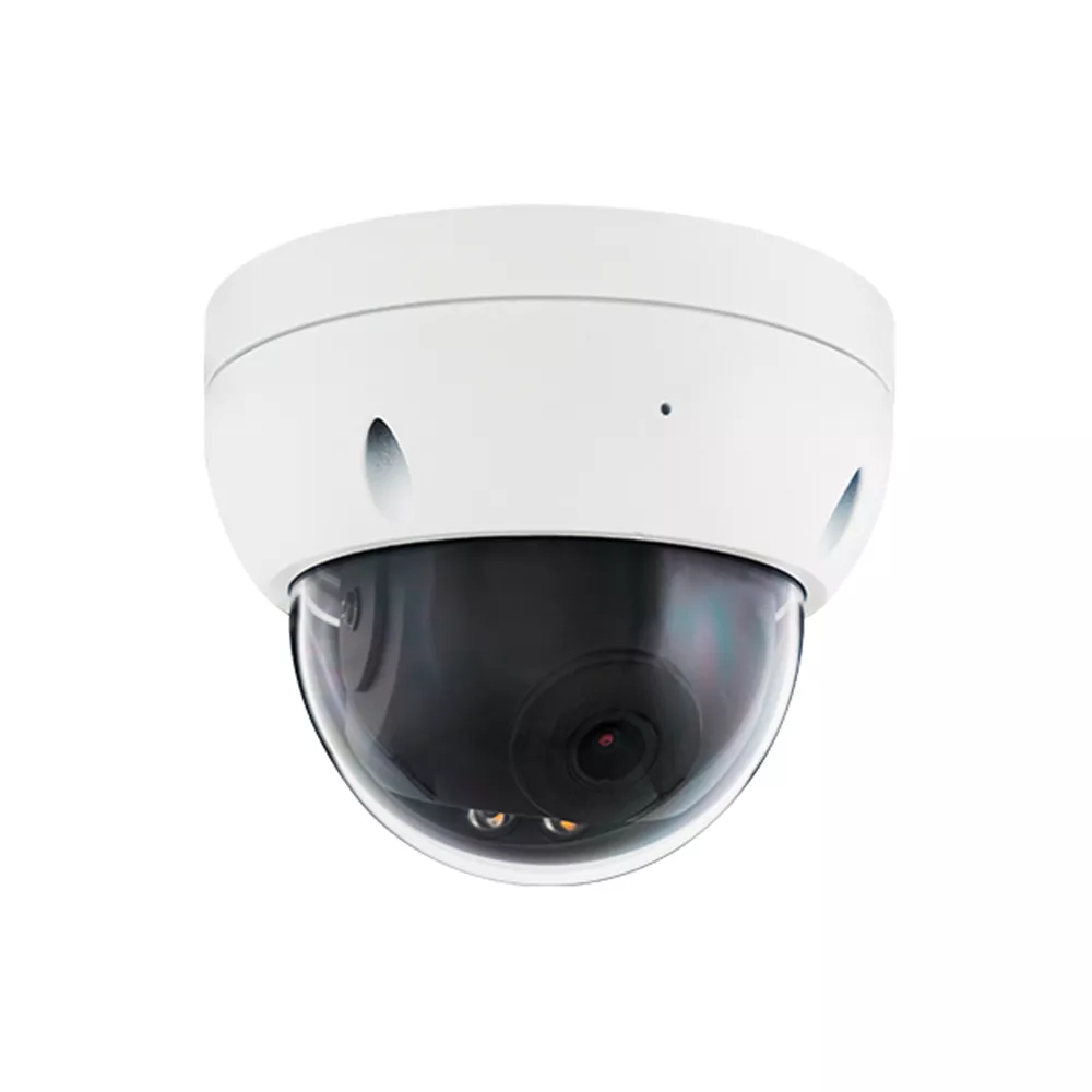 4MP Biosense Fixed Lens Dome lP Camera Biosense Series:GT-854C31B-S4-S