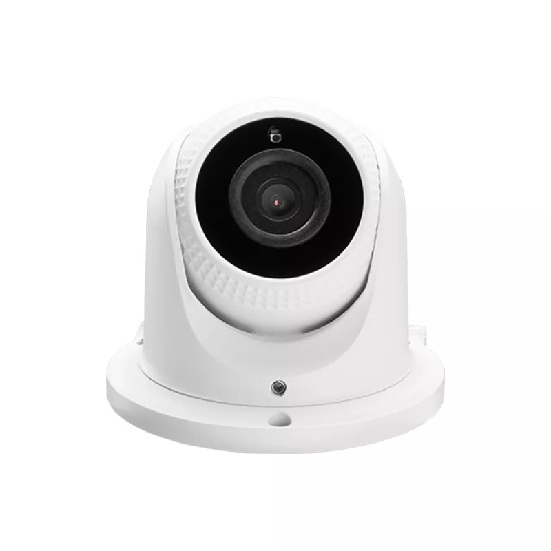 2MP Fixed Lens Eyeball lP CameraBio Sense Lite Series： GT-852E21C-S3-SE